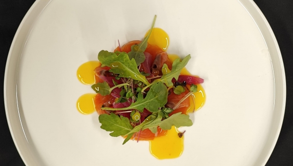 24 LUGLIO 2024 SERATA SALMONE